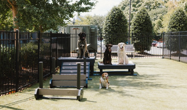 Cutting-edge amenities at your fingertips Park with dogs
